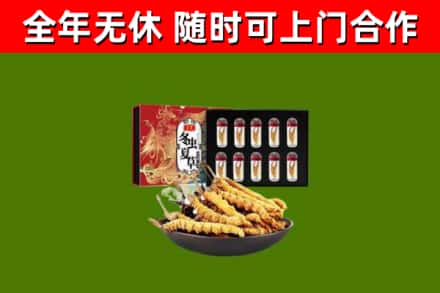 东方回收冬虫夏草价格