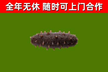 东方烟酒回收干海参.jpg